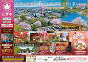 紅葉亭最新チラシ表面